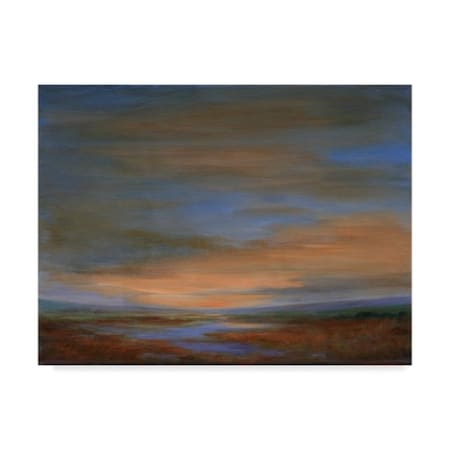 Sheila Finch 'Wetlands Sunset' Canvas Art,14x19